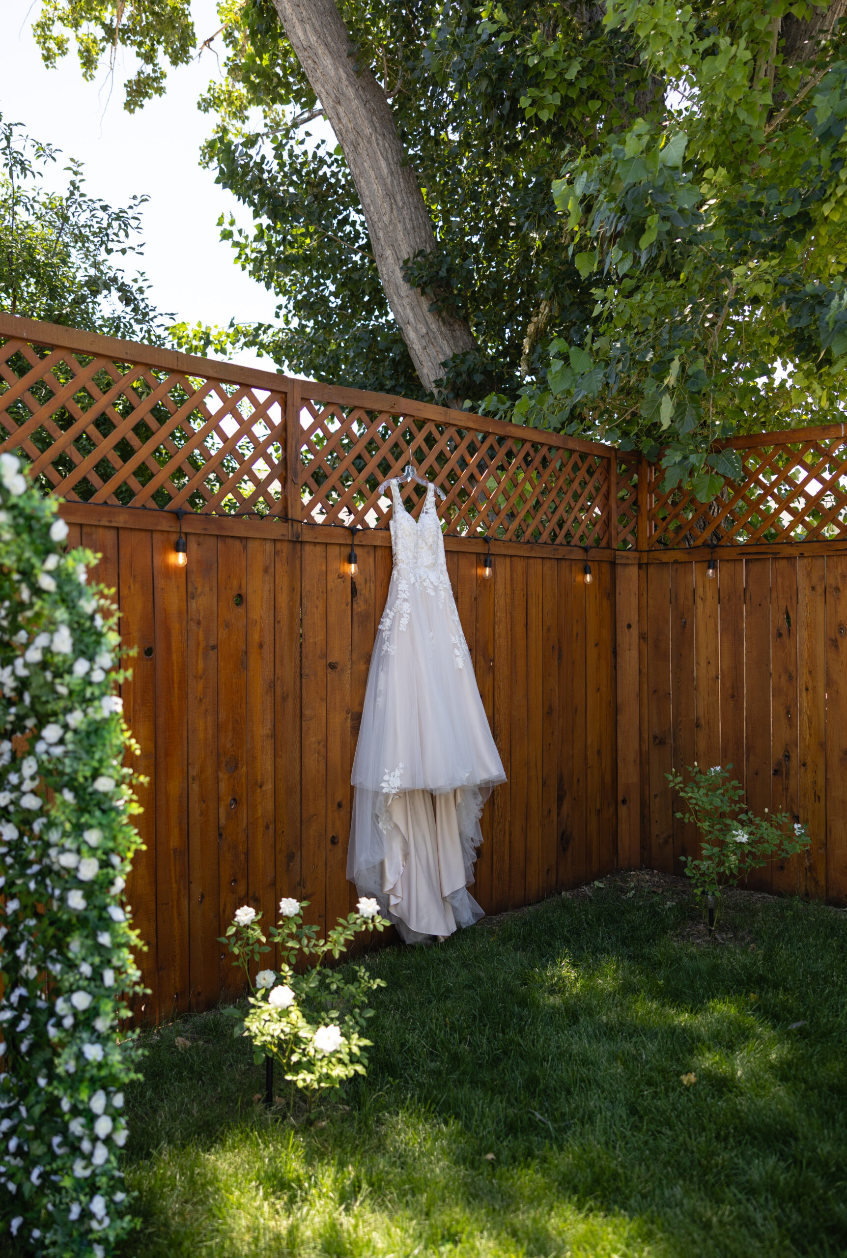 true-to-color maternity photos - outdoor session in meridian idaho